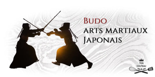Le Budo ou les arts martiaux japonais